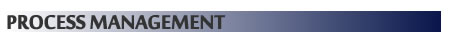 PROCESS MANAGEMENT